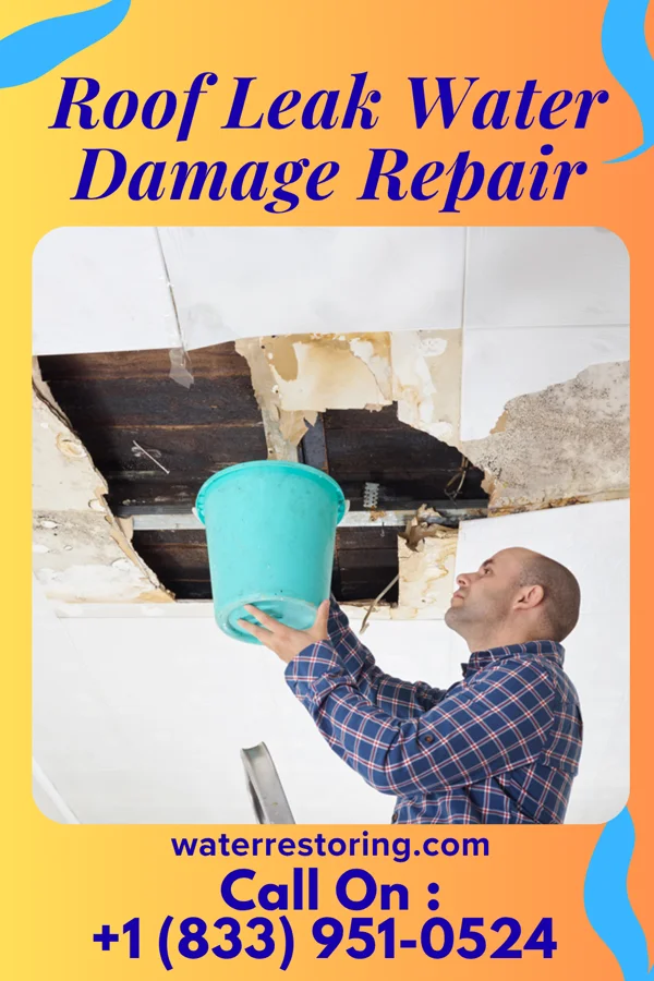 Roof Leak Water Damage Repair in Taft, LA